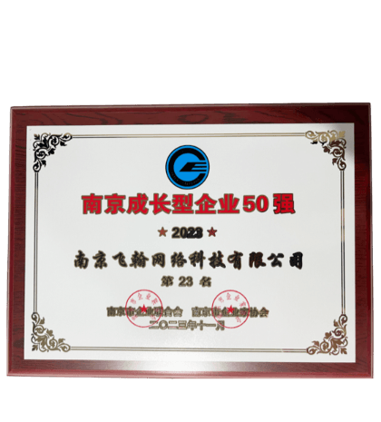 南京市成长型企业50强23名